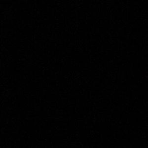 Meet your Posher, Carly